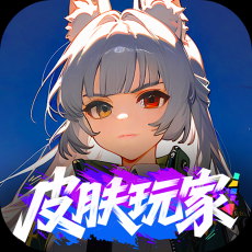 皮肤玩家