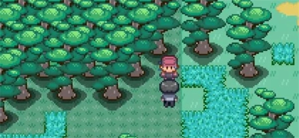 宝可梦迷之规则(2)