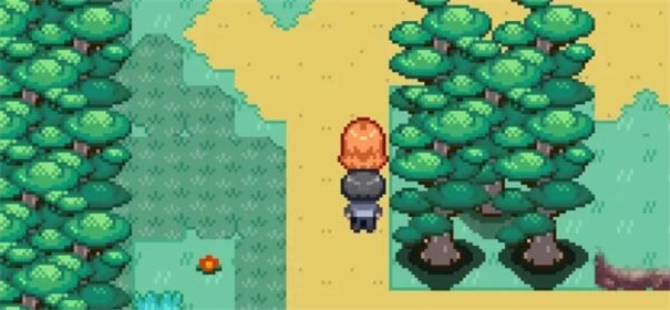 宝可梦迷之规则(3)