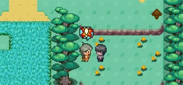 宝可梦迷之规则(5)