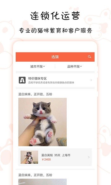 家连猫舍图2