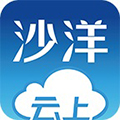 云上沙洋