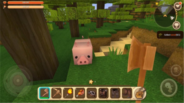 创造地球世界(4)