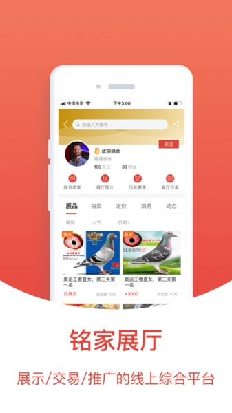 搜鸽天下(3)