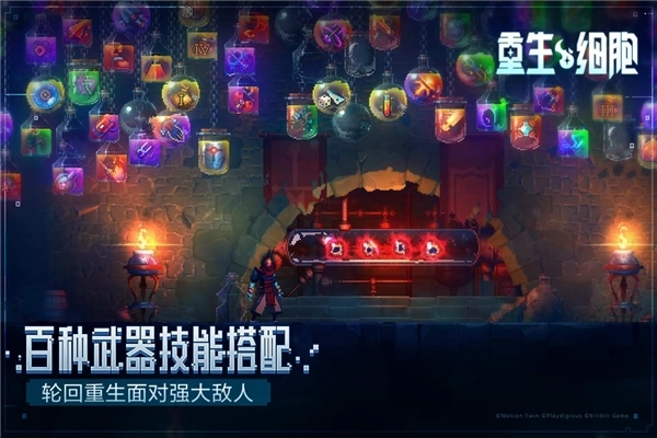 重生细胞测试版图6