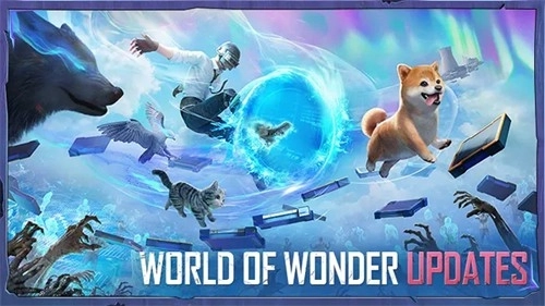 PUBG Mobile亚服安卓版图4