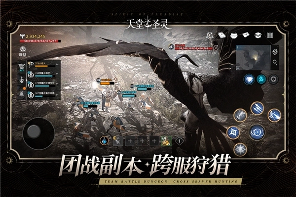 天堂之圣灵国际服图2