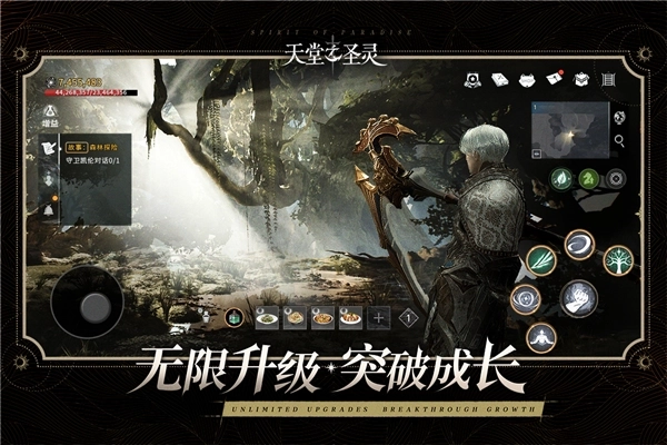 天堂之圣灵国际服图3