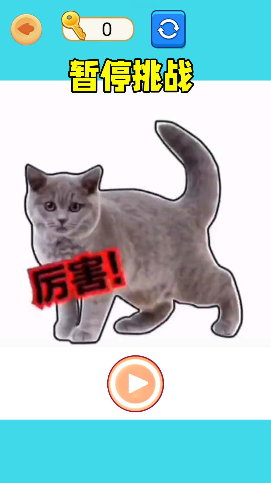 极限暂停挑战(2)