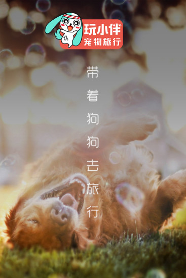 玩小伴宠物(3)