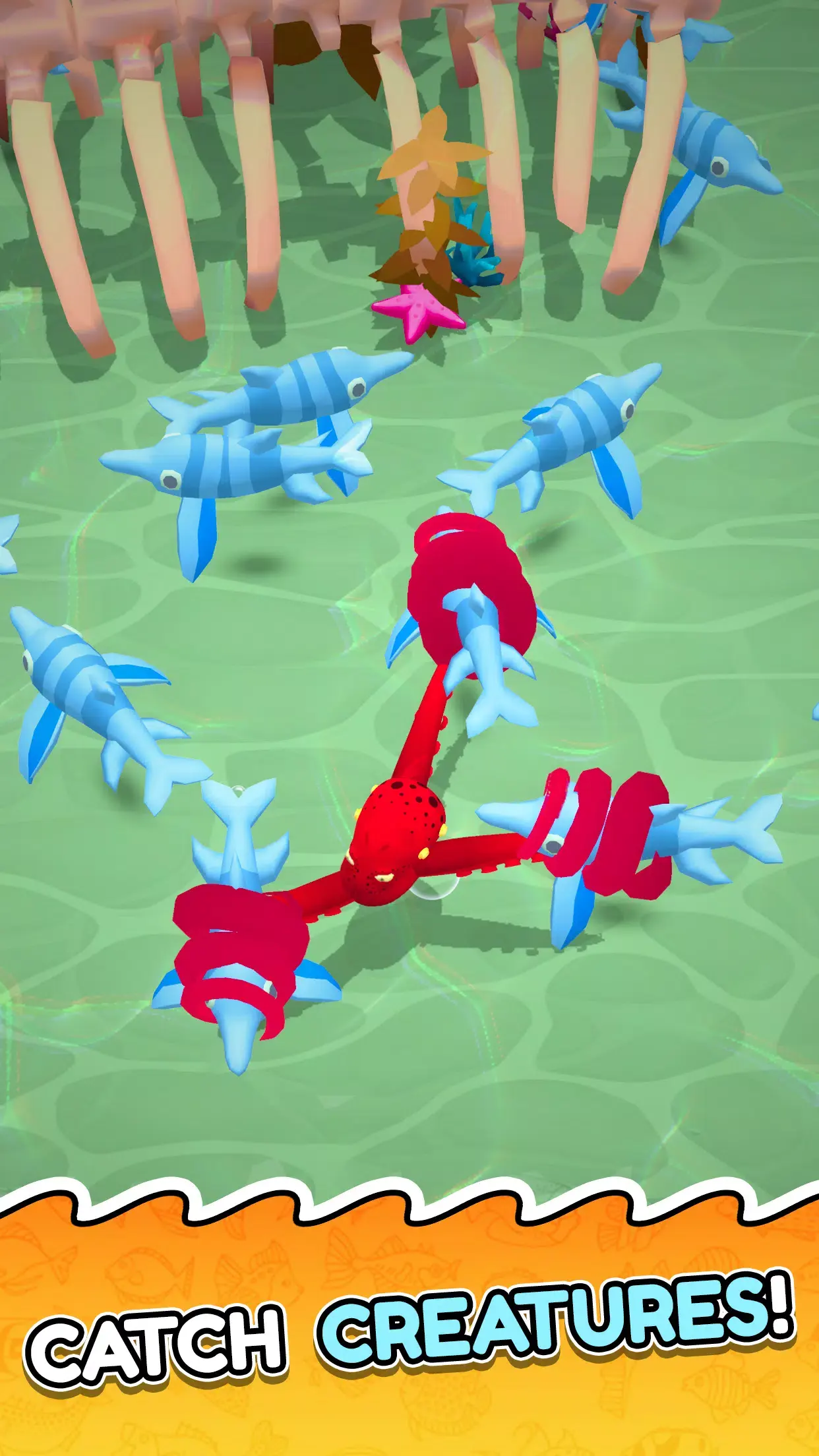 章鱼入侵进食与进化(4)