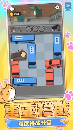 动物救援行动(3)