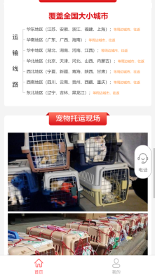 宠物托运公司图1