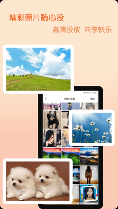 蓝鲸电视大全投屏软件图2