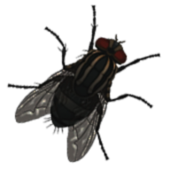 湖边之家恐怖任务游戏