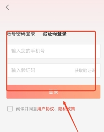 讯飞文书(3)
