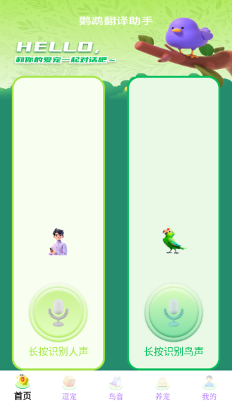 鹦鹉翻译助手(1)