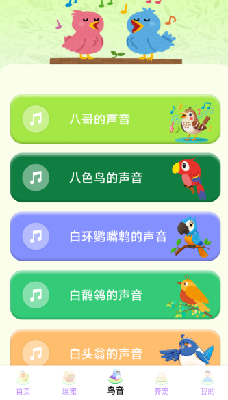 鹦鹉翻译助手(3)