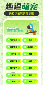 鹦鹉翻译助手(5)