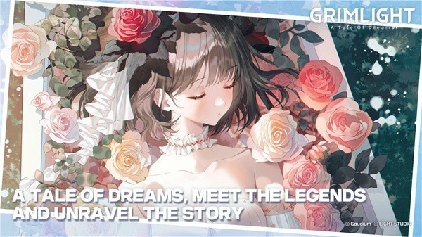 梦幻之光国际服图4