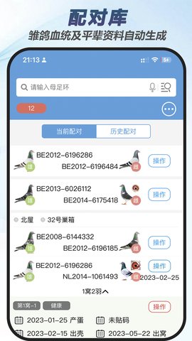 赛鸽云(4)