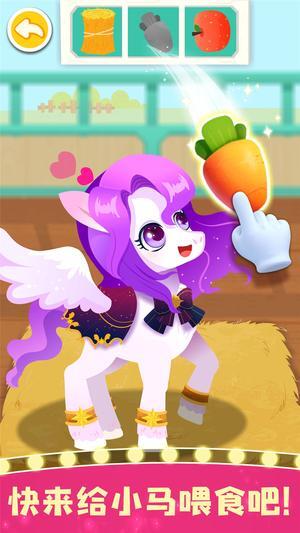 奇妙小马俱乐部图2