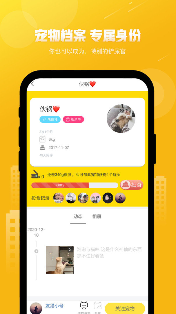 友猫(4)