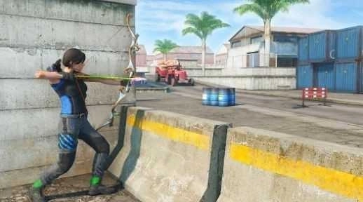 弓箭手刺客射击(3)