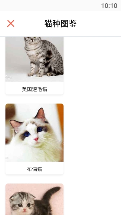 猫语翻译助手图3