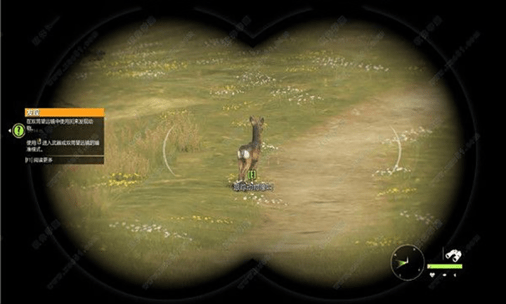 动物狩猎模拟(1)