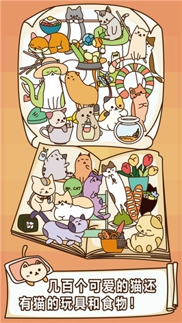 猫咪怎么这么懒