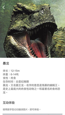 数字昆仑(5)