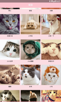 人猫交流器狗语图3