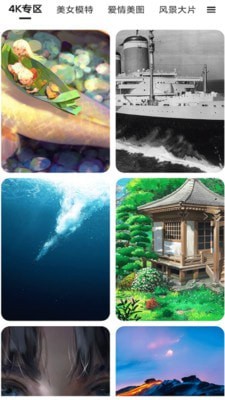 多多动态壁纸(1)