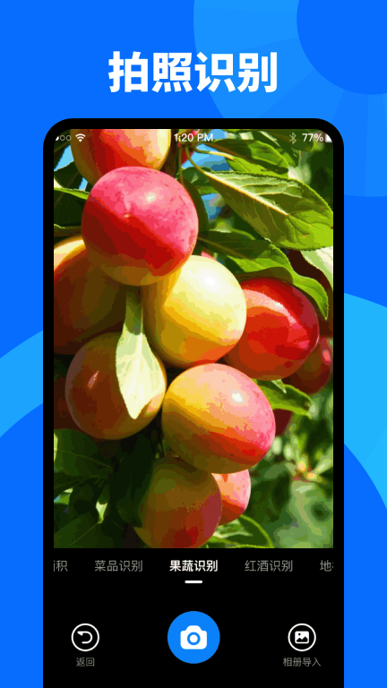 扫描识图大师图4