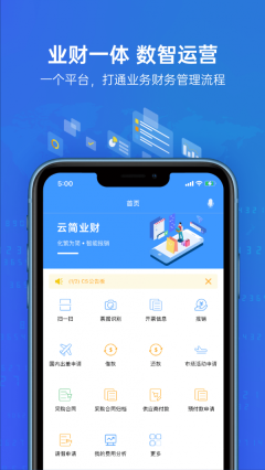 云简业财图1