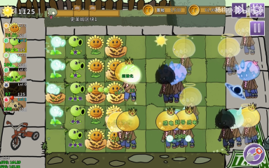 植物大战僵尸元素版(5)