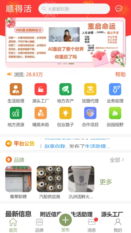 顺得活(3)