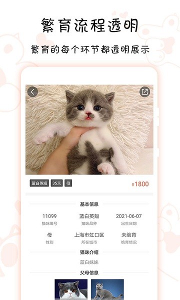 家连猫舍图3