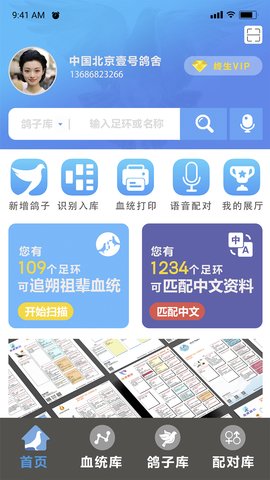 赛鸽云(1)