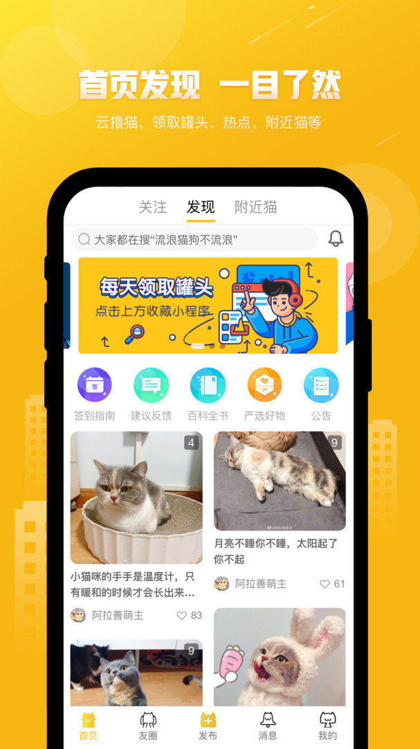 友猫(1)