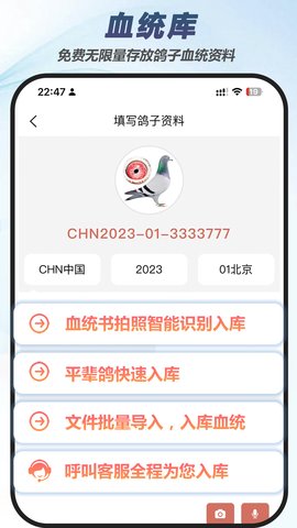 赛鸽云(2)