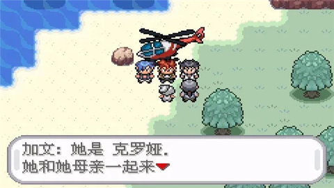 口袋妖怪无名(4)