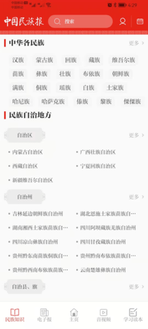 中国民族报(2)