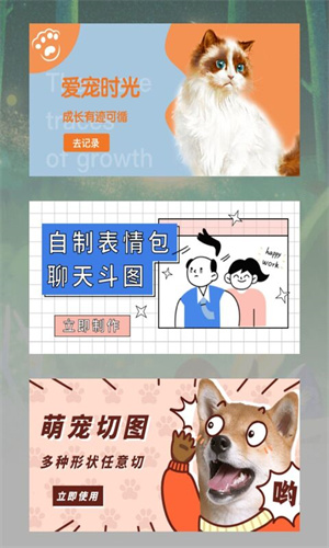 宠物日常记录(4)