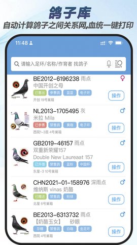 赛鸽云(3)