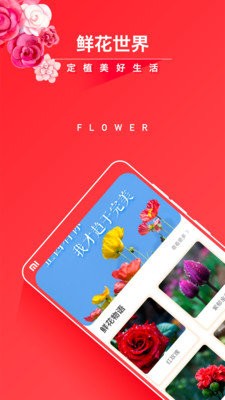 活力花(1)