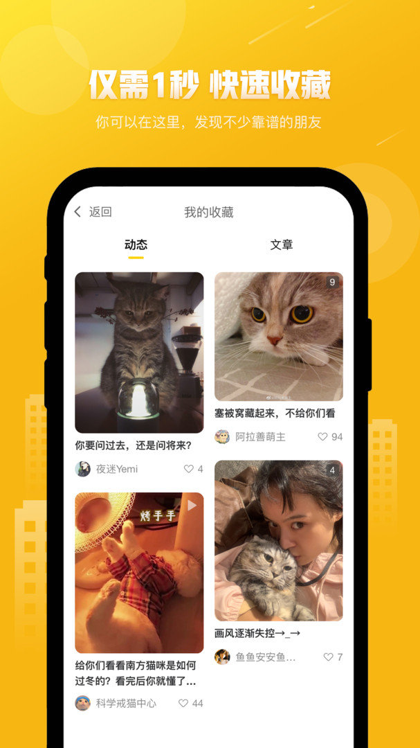 友猫(3)