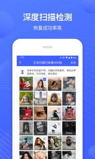 狮子照片恢复专家