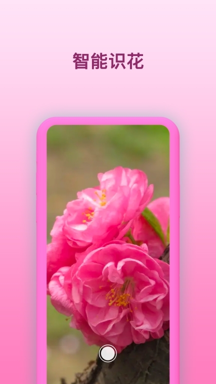 智能识花图2